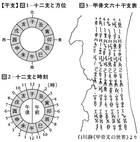 弟切丑寅|干支(エト)とは？ 意味や使い方